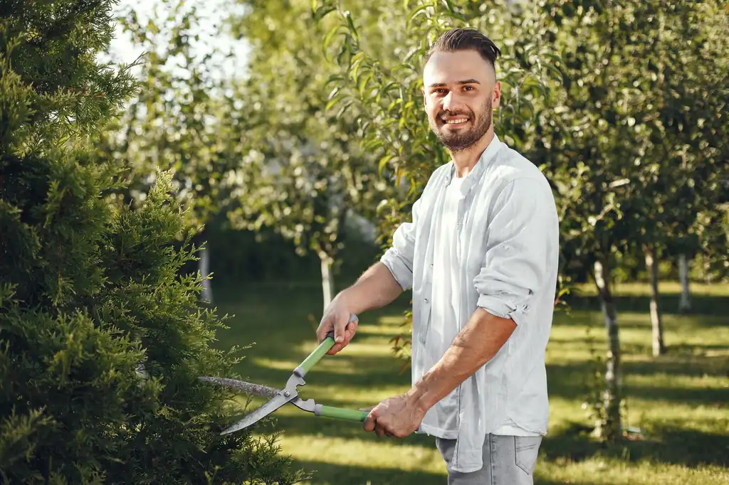 Tree Service in Iselin